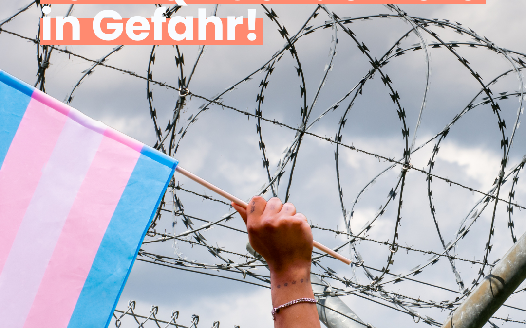 GEAS-Reform: Schutzrechte für LSBTIQ* Geflüchtete in Gefahr