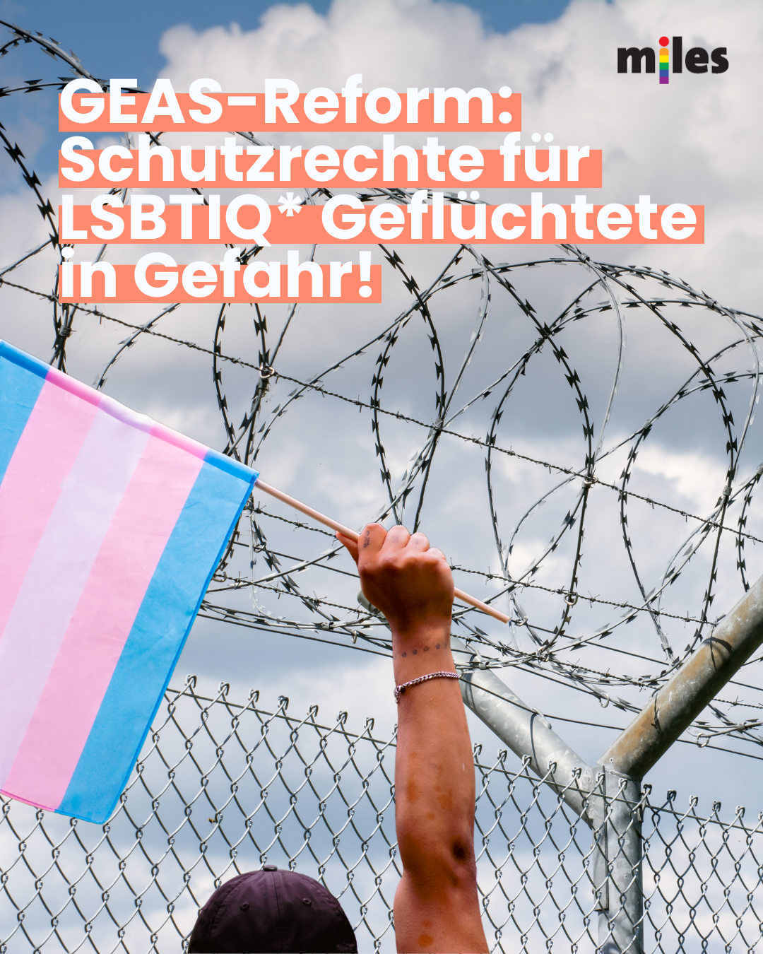 GEAS-Reform: Schutzrechte für LSBTIQ* Geflüchtete in Gefahr